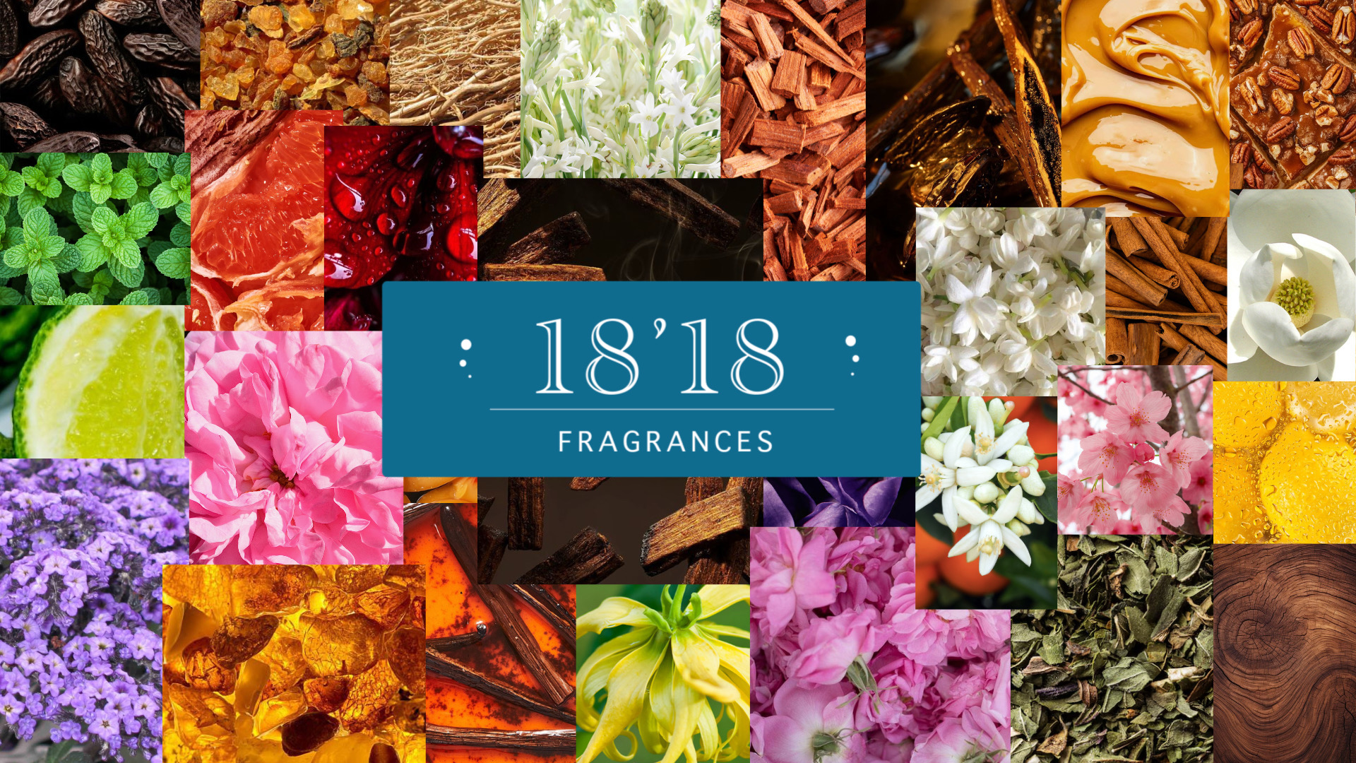 1818 Fragrances — mosaic of fragrance ingredients with logo